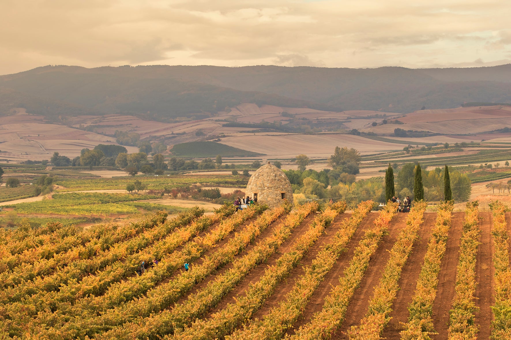 De wijngaarden van David Moreno liggen op de verschillende heuvels rondom Badarán in de Rioja Alta